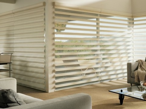 Discover Pirouette Shadings