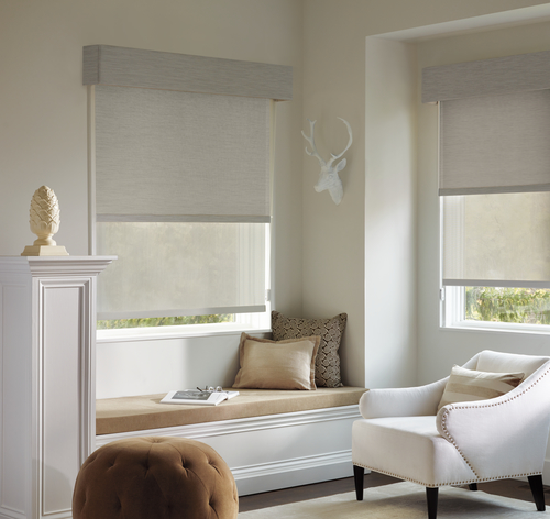 Designer Roller Shades with Coordinating Valance in the Bedroom