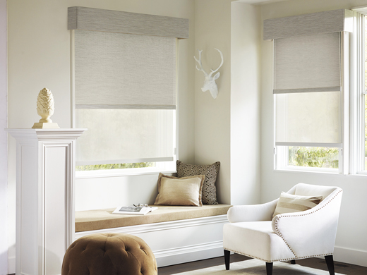 Designer Roller and Screen Shades From Hunter Douglas
