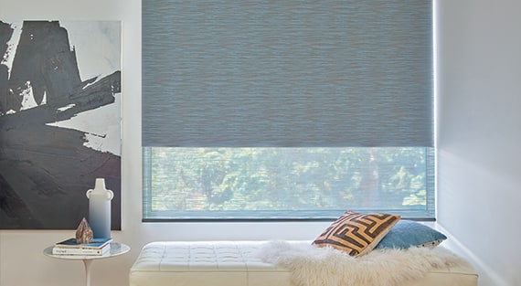 Roller Shades With More